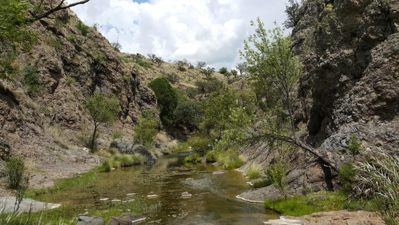 Arroyo perenne que atraviesa el Rancho Babidanchi