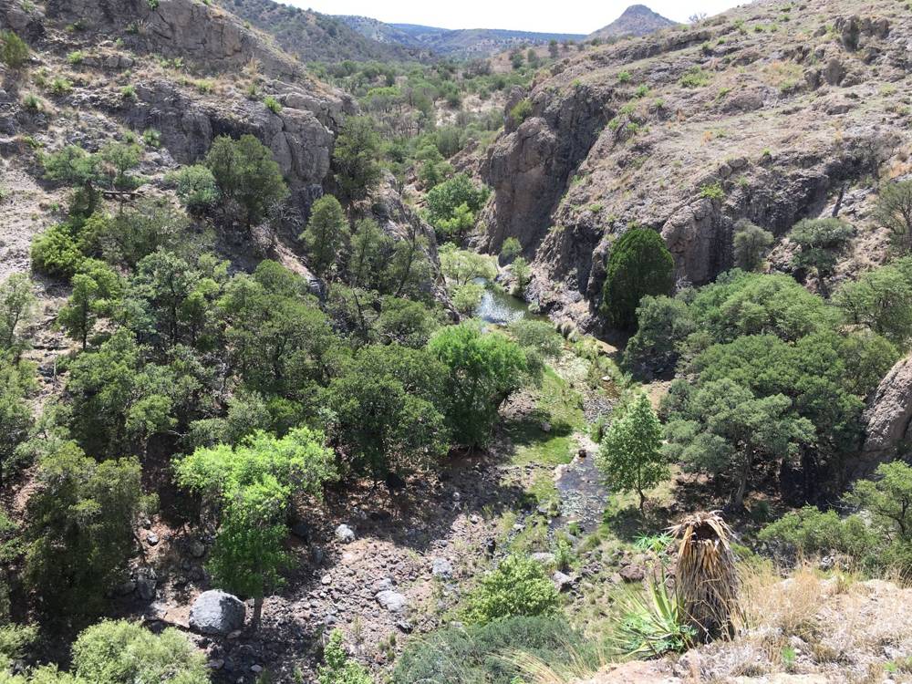 Cañón del arroyo Babidanchi visto desde arriba, con vegetación de ribera